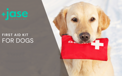 First Aid Kit for Dogs – Be Prepared!