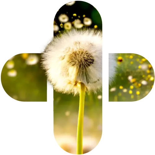 allergy-products Products US